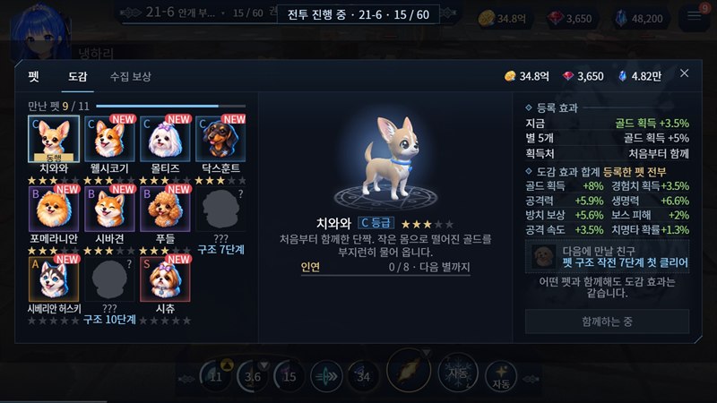 펫 화면